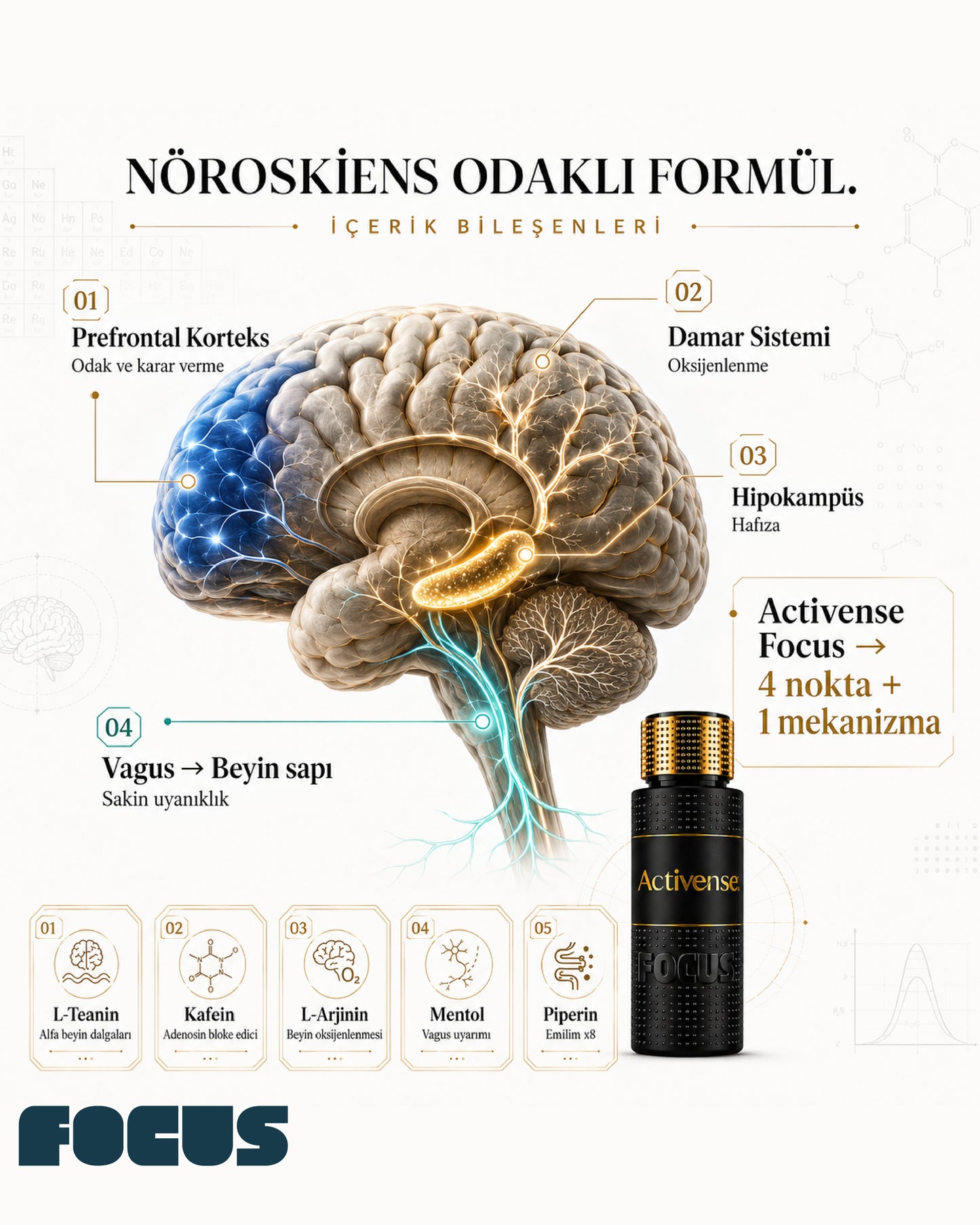 Activense Focus - Zihinsel Odak ve Konsantrasyon Aktivasyon Spreyi